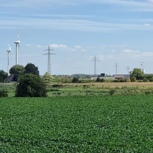 Feld mit Windrädern und Strommasten am Horizont